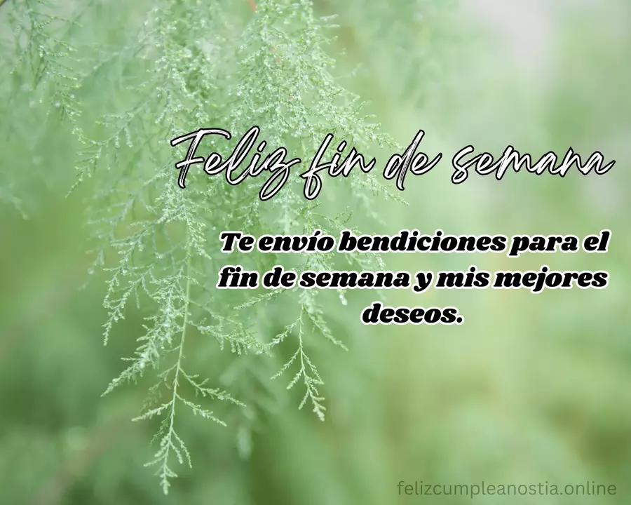 Frases para comenzar el fin de semana